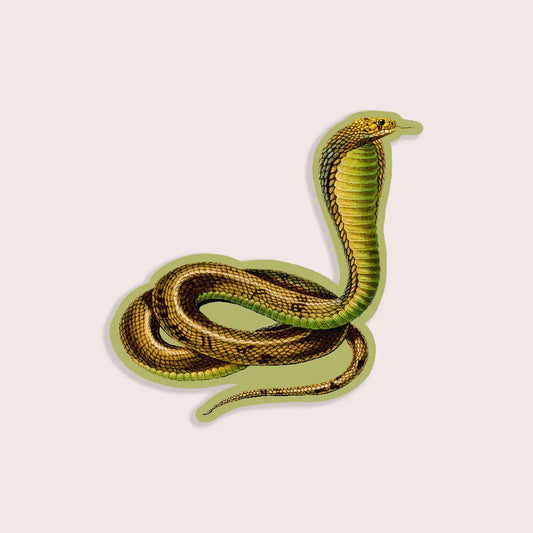 Conceited Cobra - Gap Filler Sticker