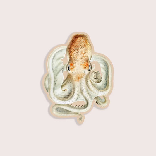 Intense Octopus - Gap Filler Sticker