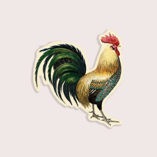 Rude Rooster - Gap Filler Sticker