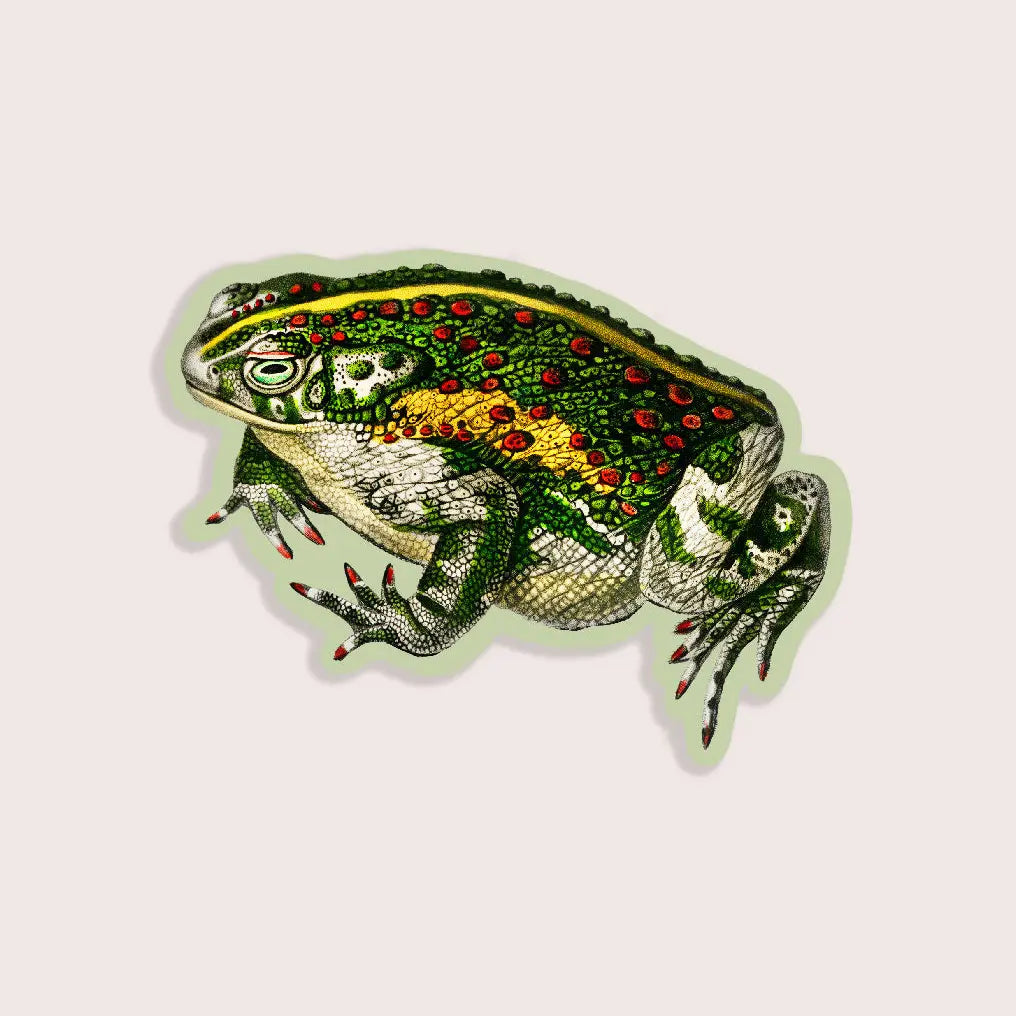Tricky Toad - Gap Filler Sticker