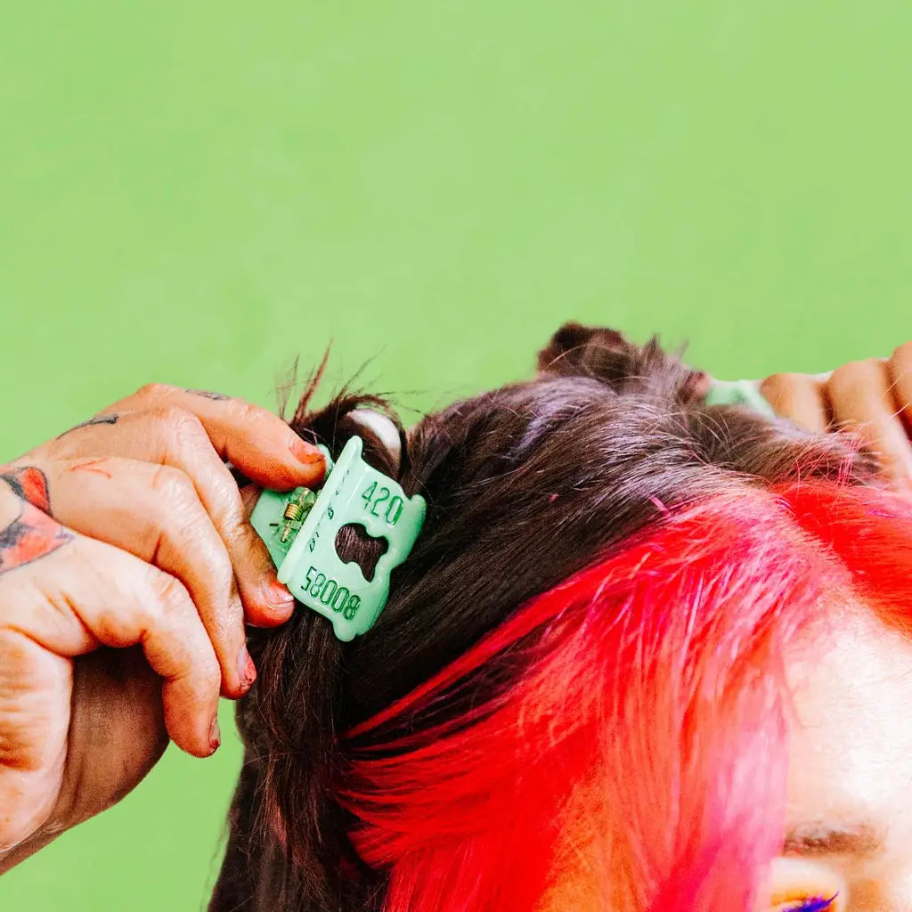 Bread Clip Mini Hair Claw