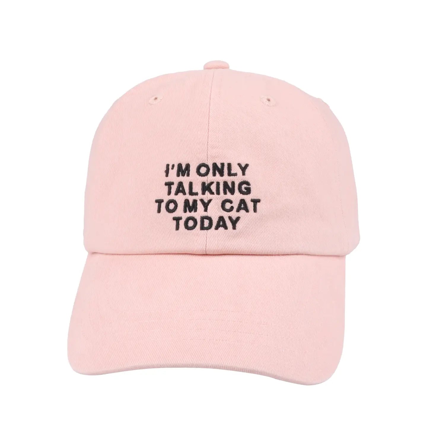 I'm Only Talking To My Cat Today Hat