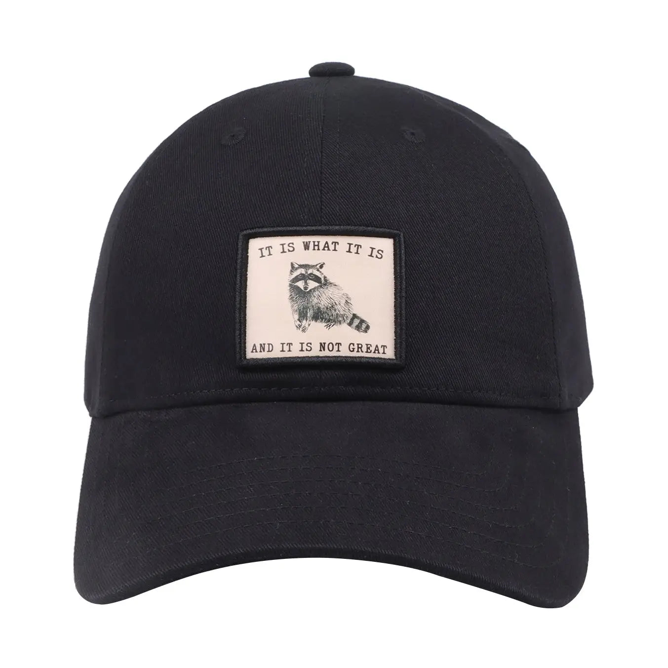 “It Is What It Is (and It Is Not Great)” Embroidered Black Baseball Cap