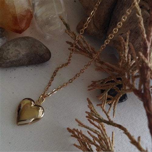 Total Eclipse Of The Heart-Tiny Heart Locket