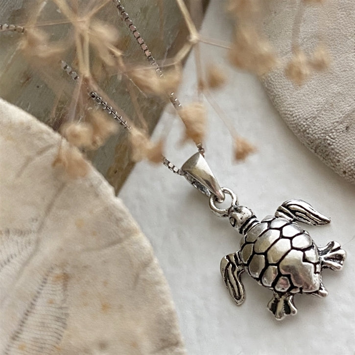 Tortue oxydée Gamera