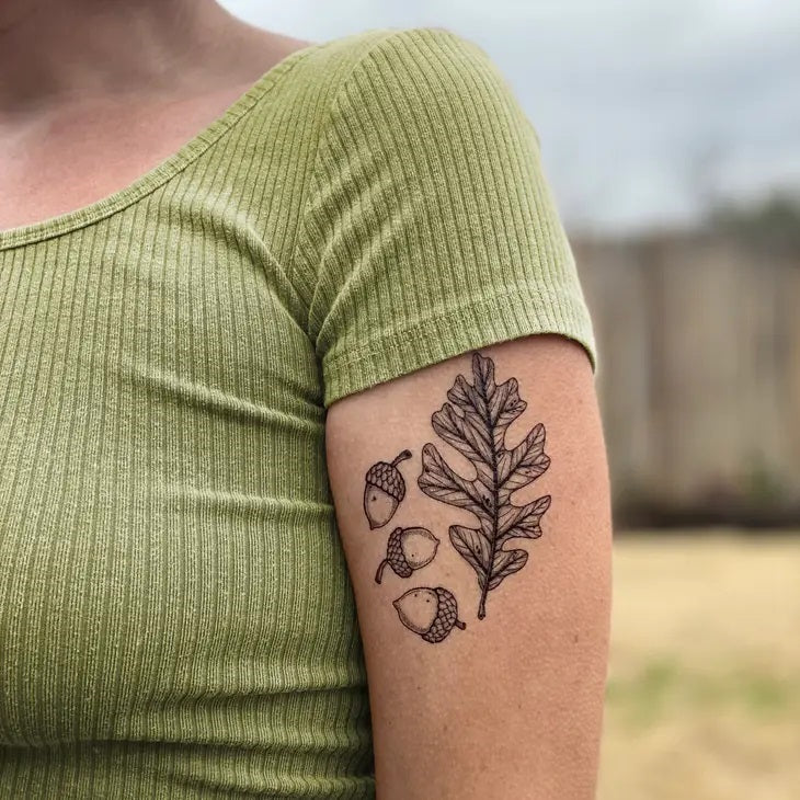 Acorn And Oak Leaves
