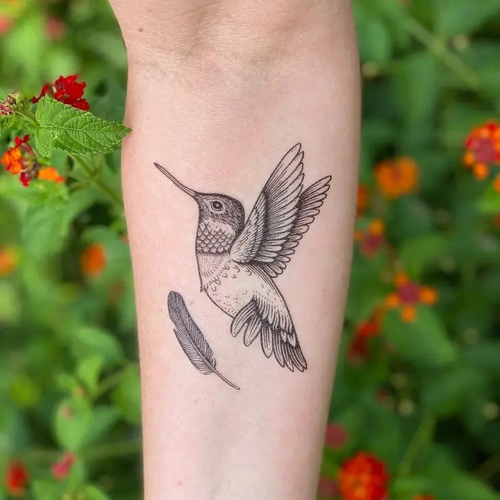 Hummingbird