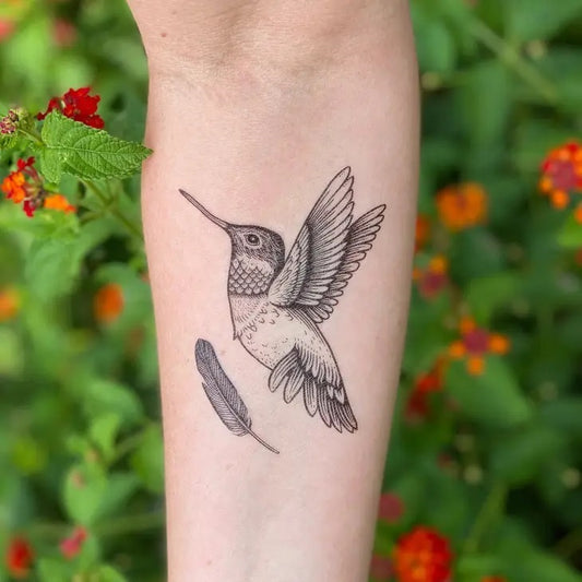 Hummingbird