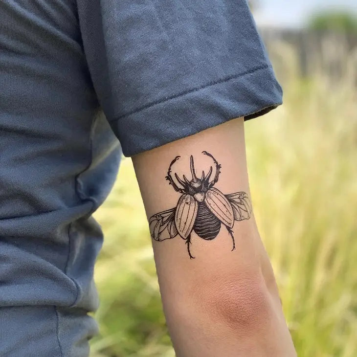 Rhinoceros Beetle