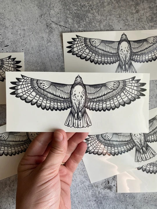 Hawk