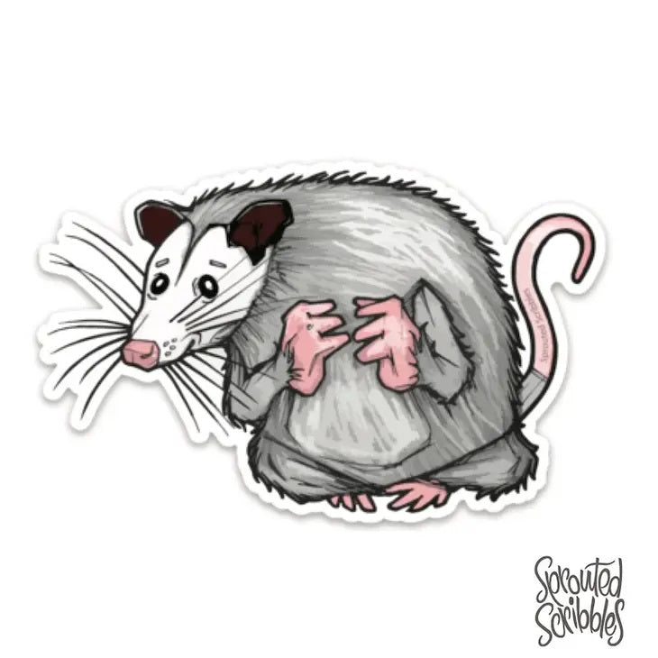 Opossum