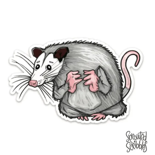 Opossum