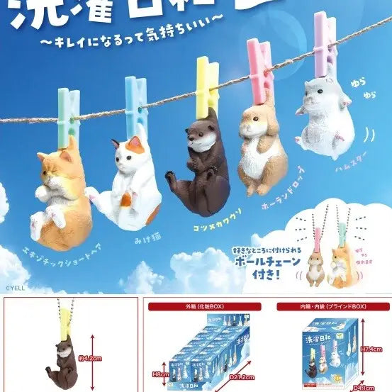 Animal Laundry Mystery Box