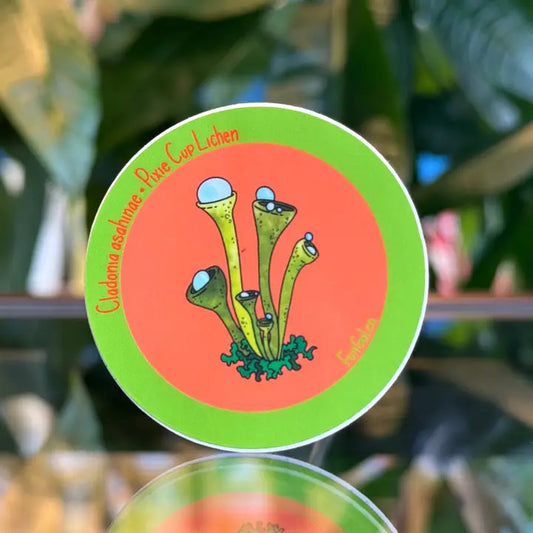 Pixie Cup Lichen Sticker