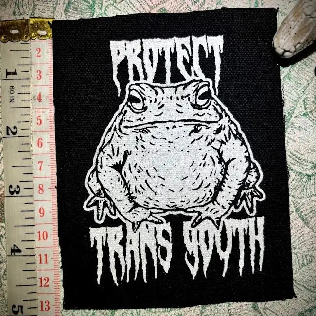 Protect Trans Youth Patch