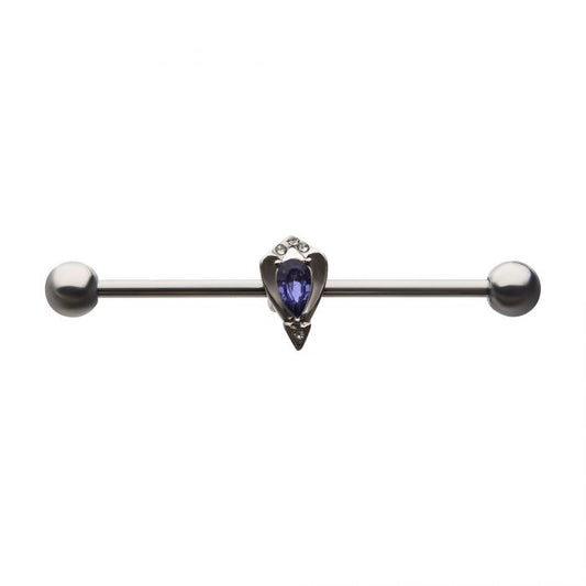 Purple Gem Industrial Barbell