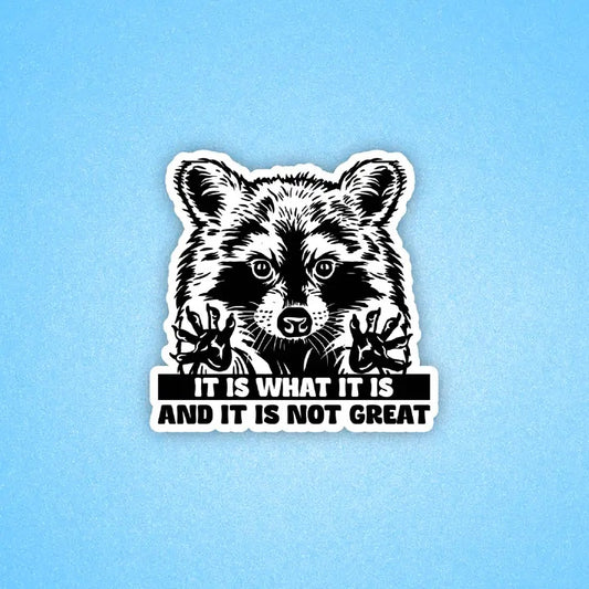 It Is What It Is Raccoon Sticker
