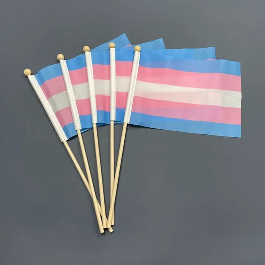 Hand Flag Transgender Pride Wooden Pole