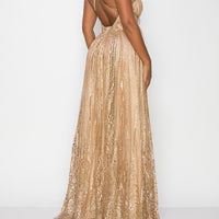 Glitter Mesh Deep V Neck Maxi Dress