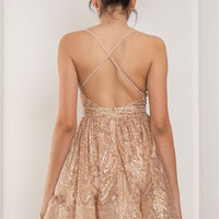 Sequined Glitter Mesh Mini Dress