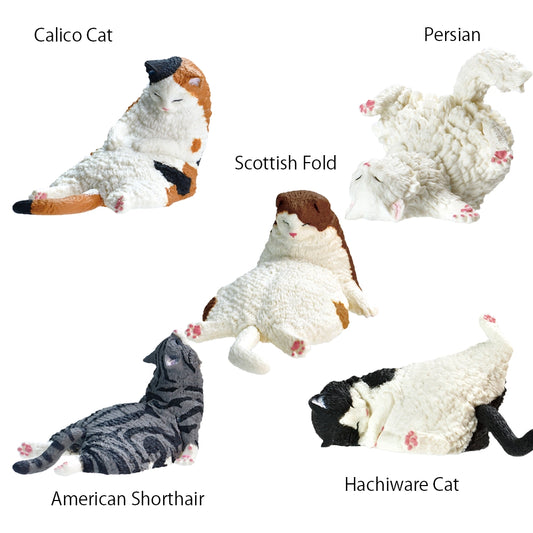 Sleepy Still Sleepy Blind Box