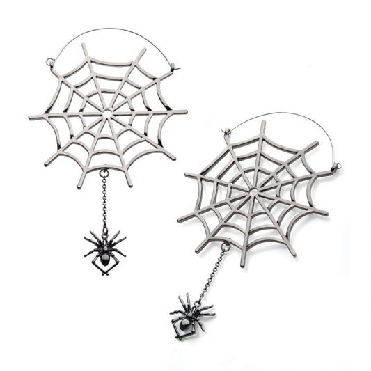 SPIDER DANGLING FROM WEB