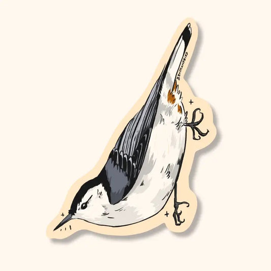Nuthatch Sticker