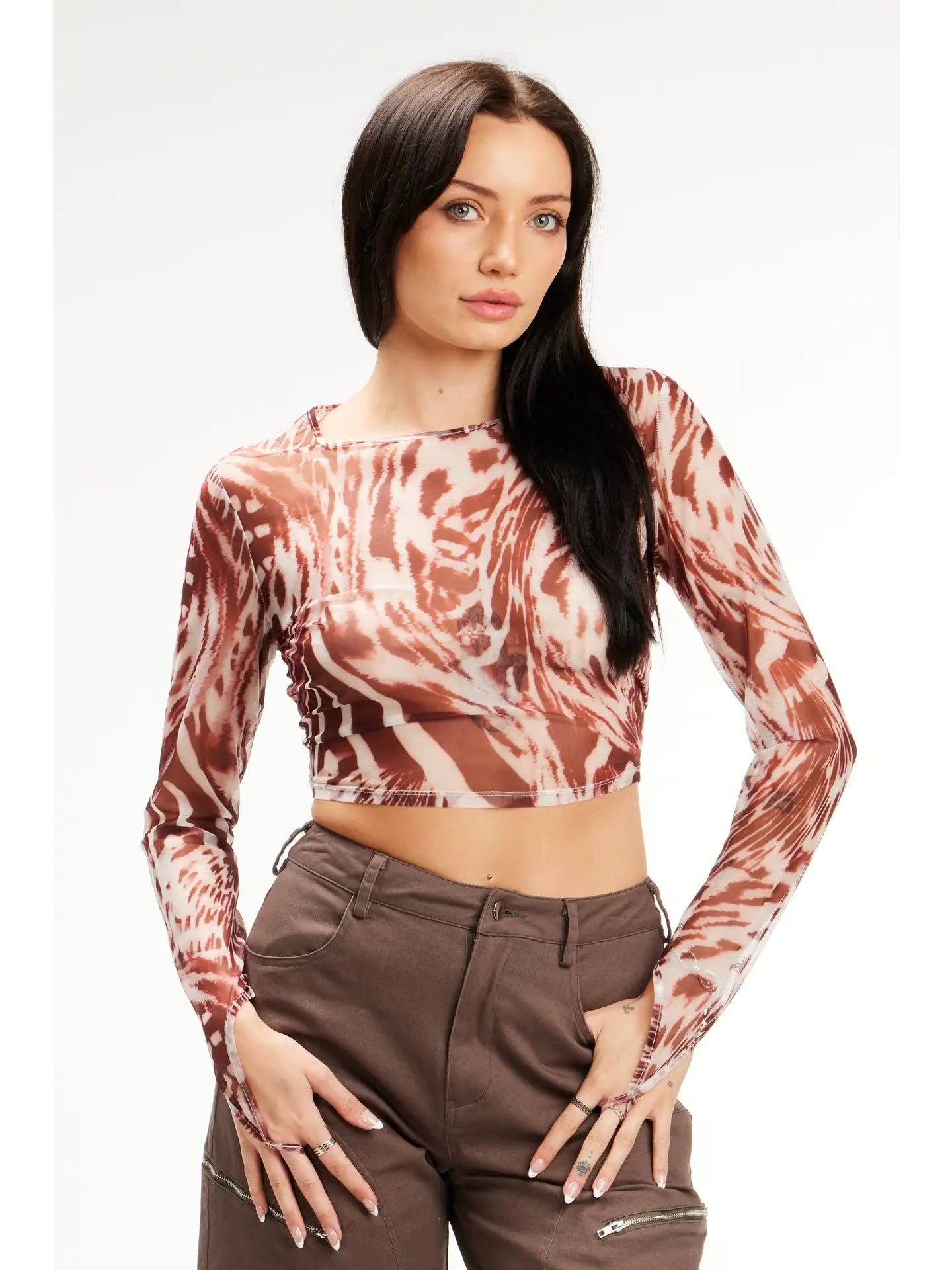 Brown Sheer Long Sleeve Top