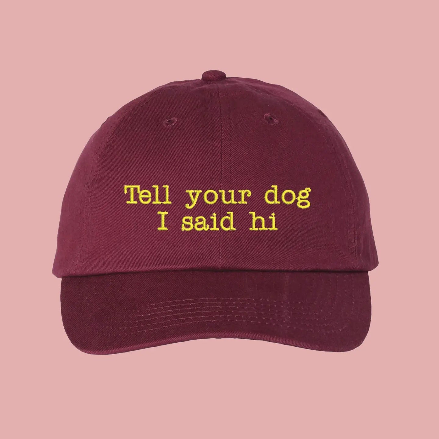 Tell Your Dog I Said Hi Burgundy Chino Cap