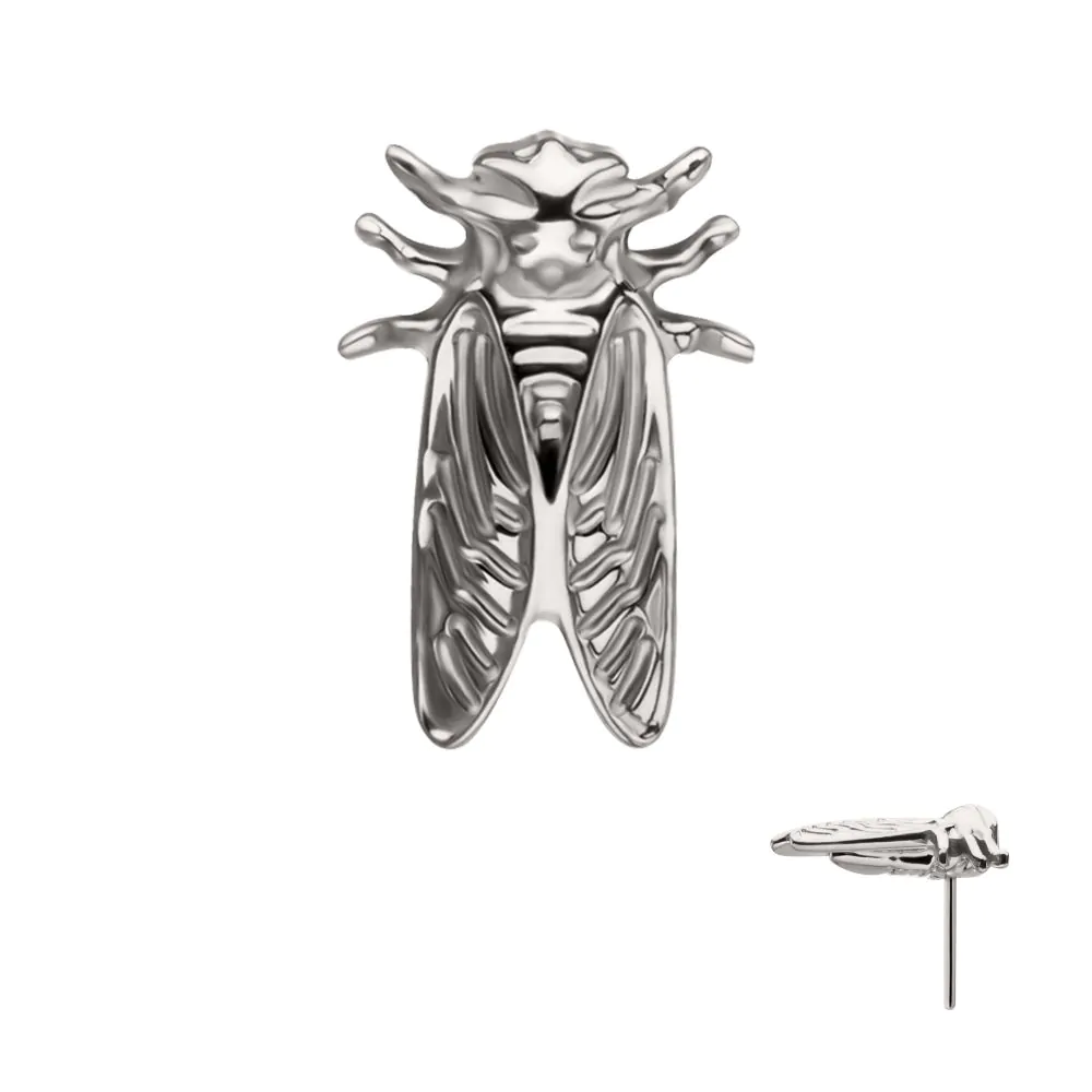 Cicada Titanium Threadless Top