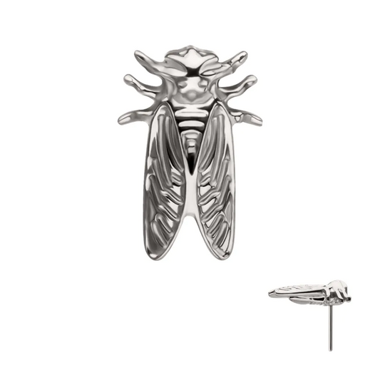 Cicada Titanium Threadless Top