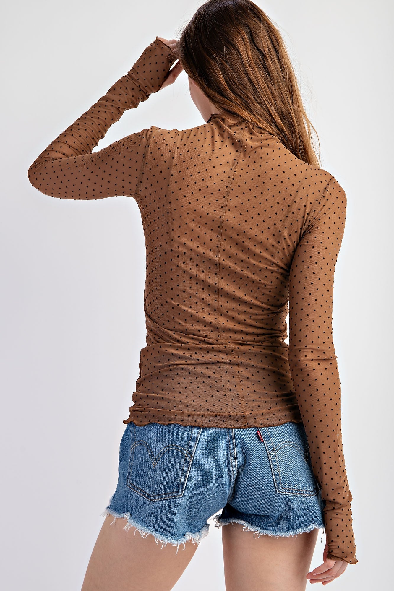 Polka Dot Mesh Long Sleeve Plus Top