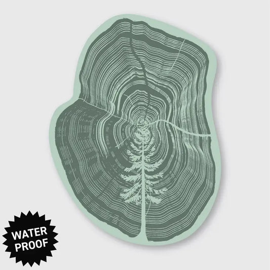 Tree In A Tree Sticker