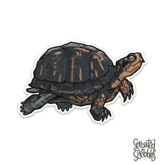 Turtle Sticker