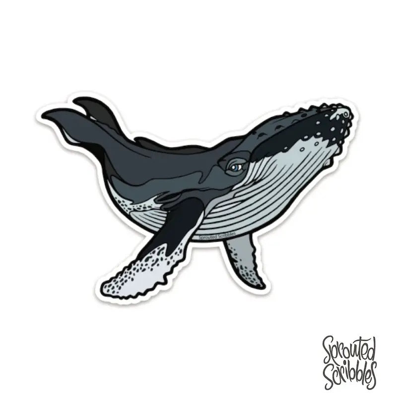 Whale Sticker