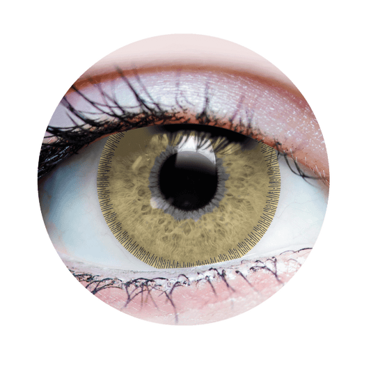 Contactos de Charm Chestnut