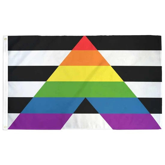 LGBTQ Ally Flag 3Ft X 5Ft