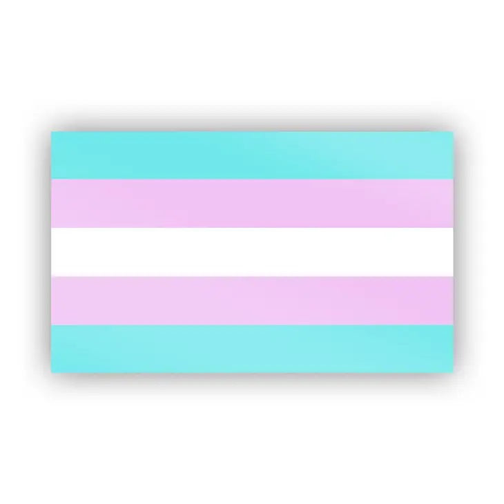 Trans Pride Sticker 3.3" X 2"